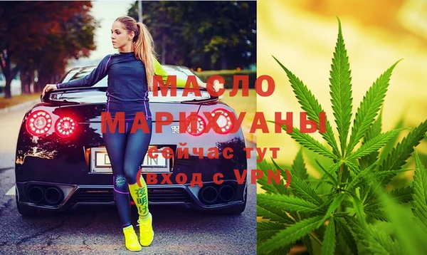 дмт Абаза