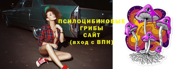 индика Мегион