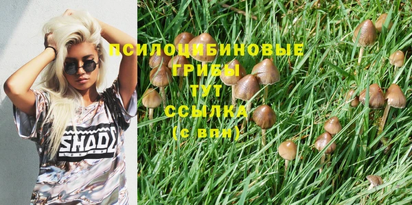 дмт Абаза