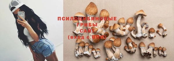 соль ск Абдулино